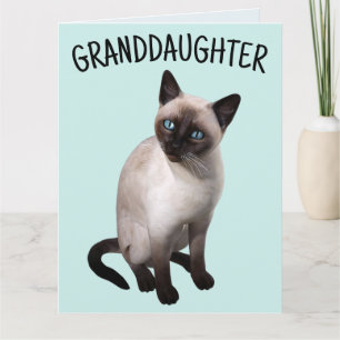 GRANDDAUGHTER SIAMESE CAT GEBURTSTAG Grußkarte Karte