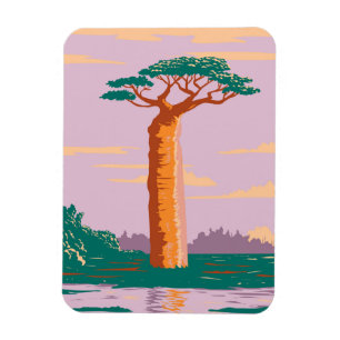 Grandidiers Baobab Magnet