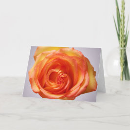 GrandifloraRose Dankeskarte