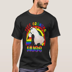 Grandma Hugs Two Llamas Proud Lgbt Rainbow Fa T-Shirt