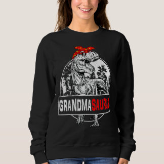 Grandmasaurus Rex Dinosaurier Oma Saurus Familie M Sweatshirt