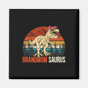 Grandmomsaurus T Rex Dinosaur Oma Saurus Übereinst Magnet