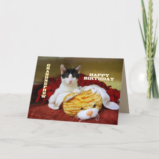 Grandnephew Happy Birthday Kitten mit Toy Tiger Karte (Vorderseite)