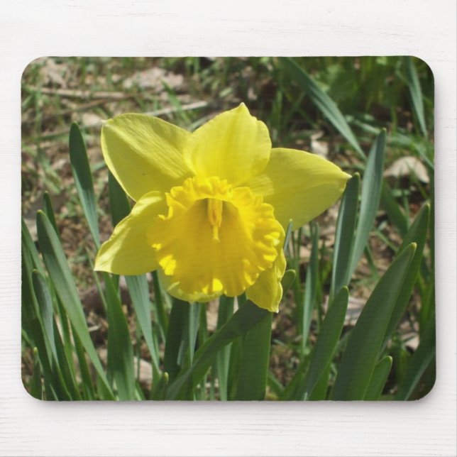 Grandparent's Bright Yellow Daffodil Mouse Pad Mousepad (Vorne)