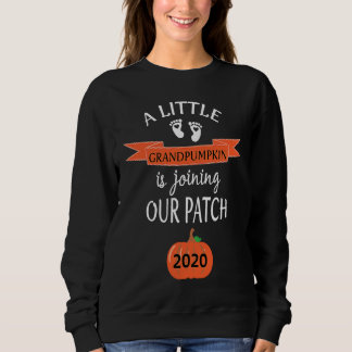 Grandparents Pregnancy Announcement 2020 New Grand Sweatshirt
