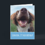 Grandson Birthday, glücklicher Hund mit großem Läc Karte<br><div class="desc">Ein Geburtstag zu feiern ist etwas,  worüber man lächeln kann,  und dieser glückliche Hund wird Ihrem Enkel ein großes Lächeln ins Gesicht bringen. Dieses bezaubernde,  sorgenfreie Jungtier ist ein brauner und weißer Spaniel,  der vor dem Unterschlupf gerettet wurde. Sie genießt jetzt grünes Gras,  blauen Himmel und viele glückliche Geburtstage.</div>