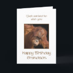 Grandson Birthday Karte<br><div class="desc">Give your grandson a cheeky monkey of a birthday card. Birthday card for your very own top banana! Auf Babyorangutan looking Cute.</div>
