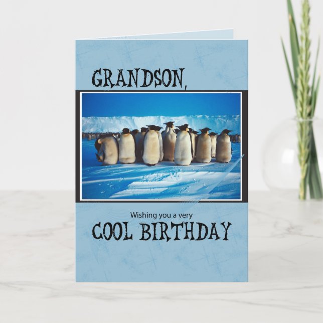 Grandson Birthday, Pinguine Karte (Vorderseite)