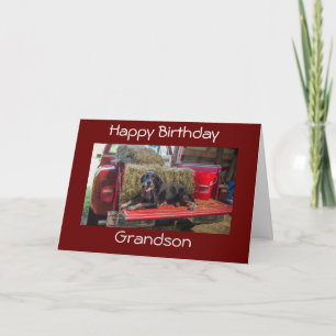 ***GRANDSON*** GLÜCKLICH GEBURTSTAG KARTE
