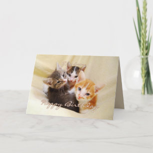 Grandson Happy Birthday Trio von Kittens Karte