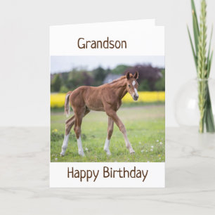 *GRANDSON* IHR GEBURTSTAG IST EIN SONDERTAG KARTE
