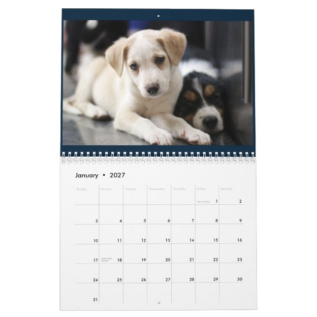 Granit-Hügel-Tierpflegekalender 2015 Kalender (Jan 2027)