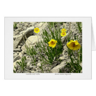 Granit-Klippen-Geschenke