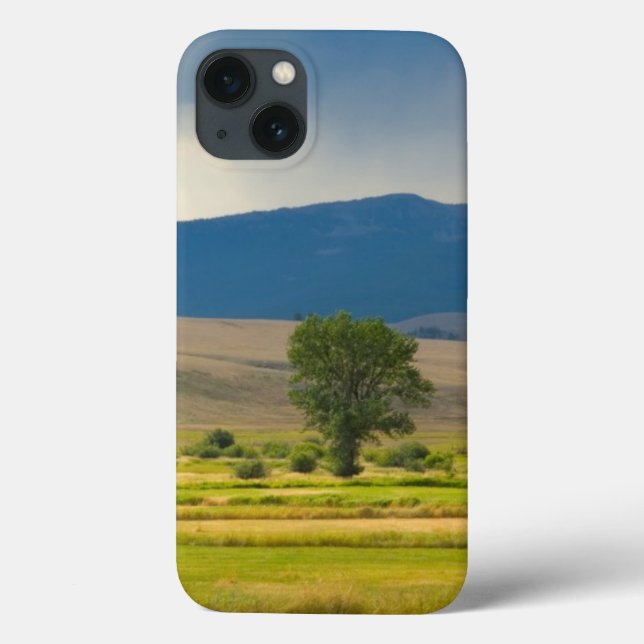 Granit Landkreis Montana Case-Mate iPhone Hülle (Rückseite)