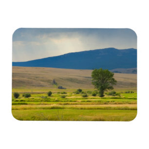 Granit Landkreis Montana Magnet