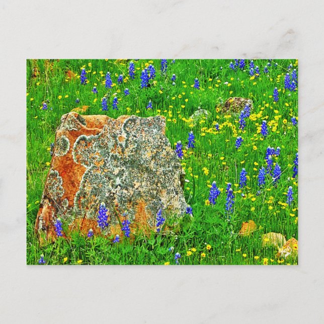 Granit und Wildblumen auf der Willow City Loop Postkarte (Vorderseite)