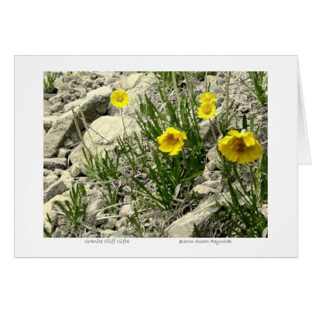 Granite Cliff Geschenke (Vorderseite (Horizontal))