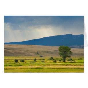 Granite County Montana