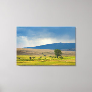 Granite County Montana Leinwanddruck