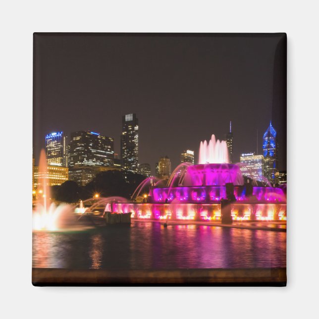 Grant Park Chicago Magnet (Vorne)