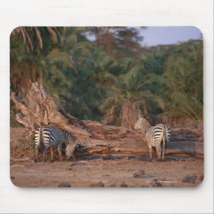 Grant Zebra 5 Mousepad