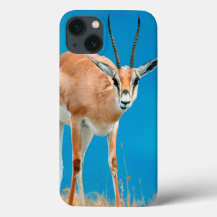 Grants Mutterschaf-Porträt Gazellen-(Gazella iPhone 13 Hülle
