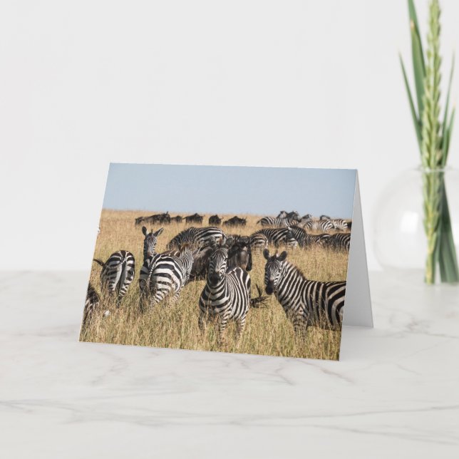 Grant's Zebra Dankeskarte (Vorderseite)