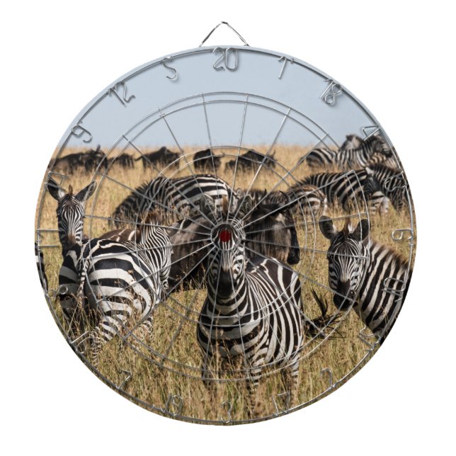 Grant's Zebra Dartscheibe (vorne)
