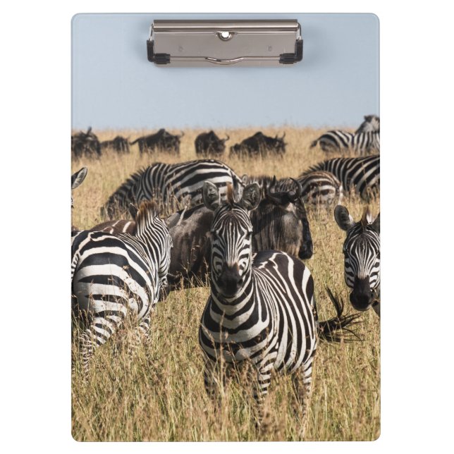 Grant's Zebra Klemmbrett (Vorderseite)