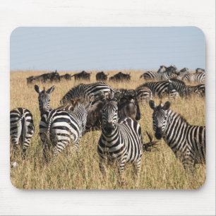 Grant's Zebra Mouse Pad Mousepad