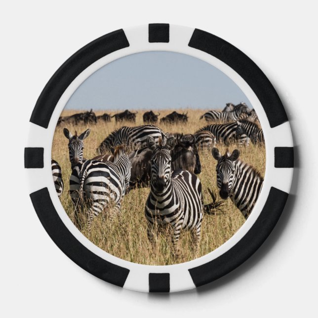 Grant's Zebra Pokerchips (Vorderseite)