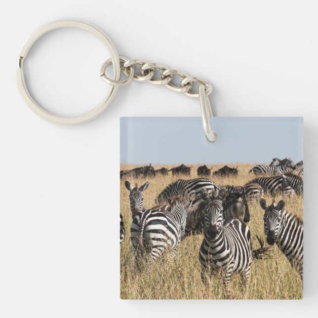 Grant's Zebra Schlüsselanhänger (Vorderseite)