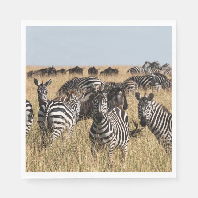 Grant's Zebra Serviette (Vorderseite)