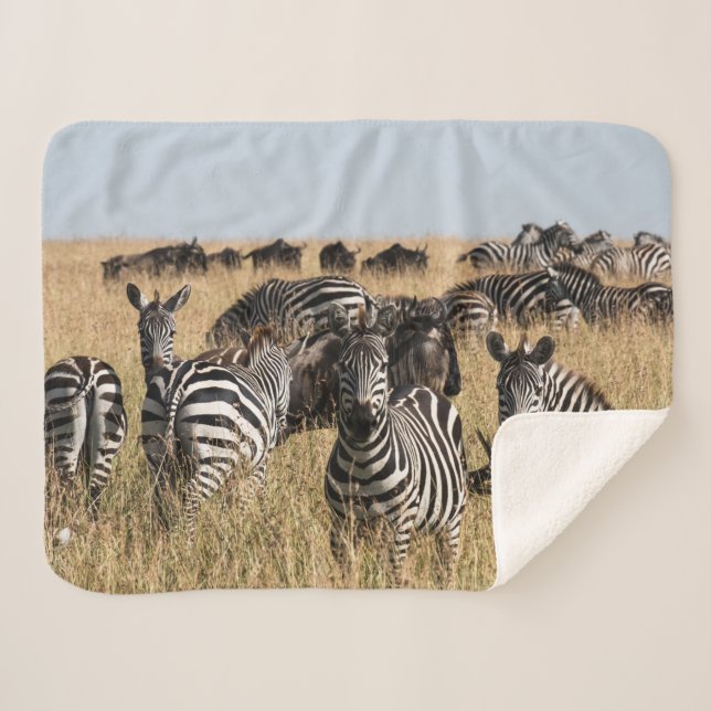 Grant's Zebra Sherpa Blanket Sherpadecke (Vorderseite (Horizontal))