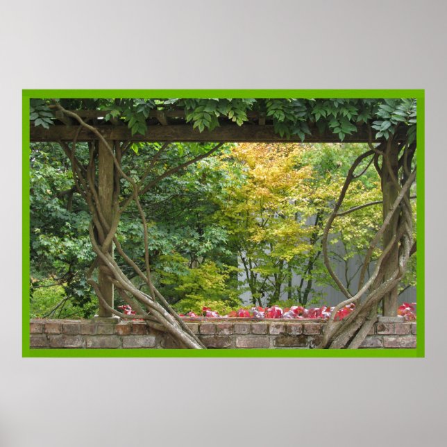 Grap Vineyard Poster (Vorne)