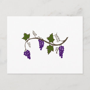 GRAPEVIN POSTKARTE