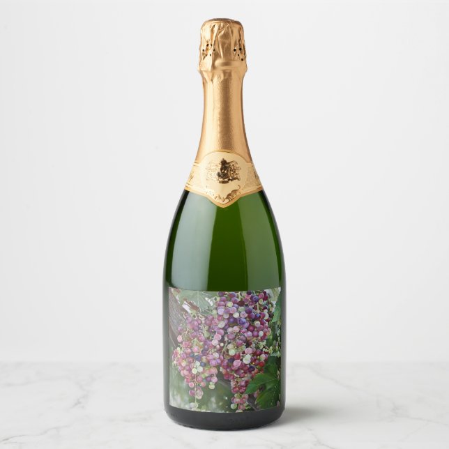 Grapevine Abundance — Hyperrealistisches botanisch (Vorderseite)
