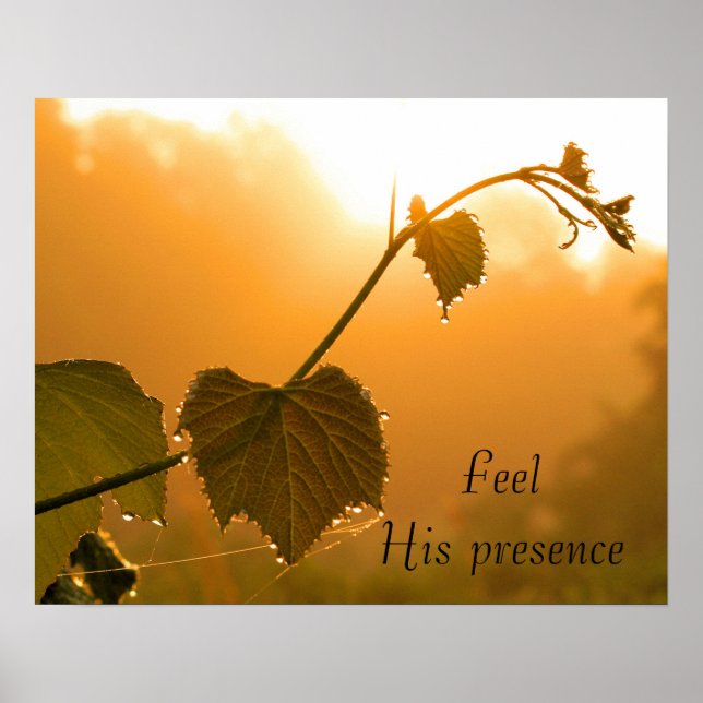Grapevine & Dewdrops bei Sunrise-Inspirational Poster (Vorne)