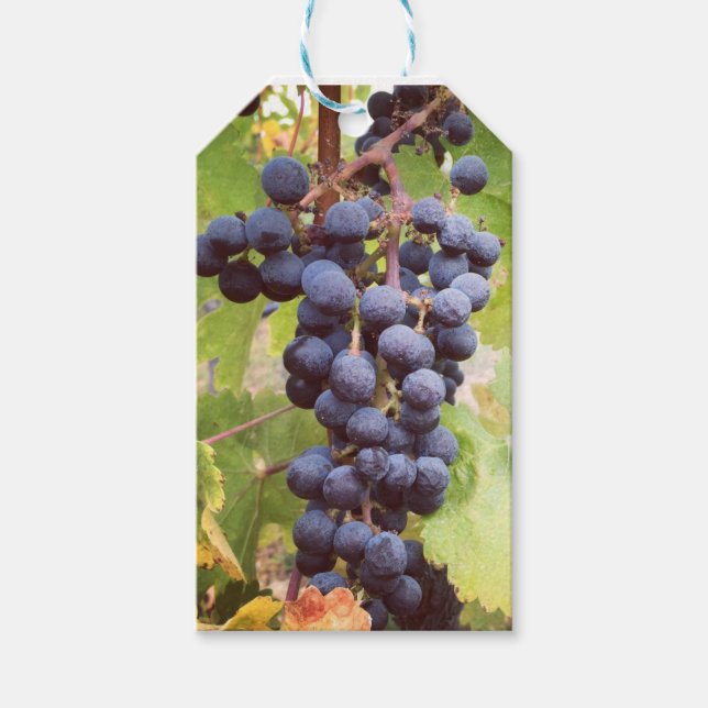 Grapevine Gift Tag Geschenkanhänger (Vorderseite)