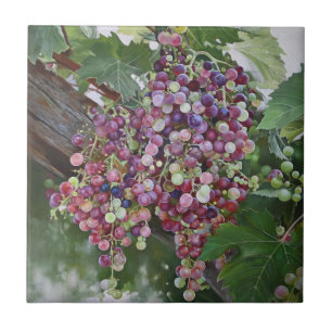 Grapevine Glorie — Hyperrealistische Weinbaukunst  Fliese