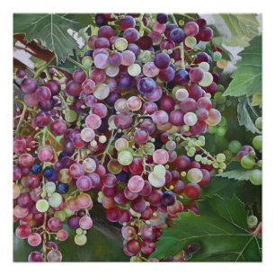 Grapevine Glorie — Hyperrealistische Weinbaukunst  Poster