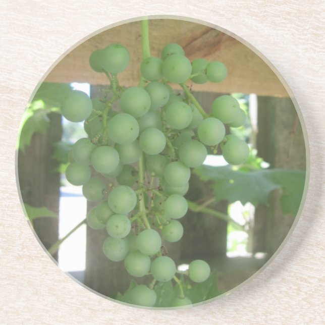 Grapevine Sandstone Untersetzer (Vorne)