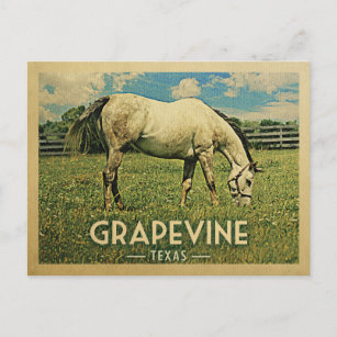 Grapevine Texas Horse Farm - Vintage Travel Postkarte
