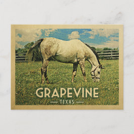 Grapevine Texas Horse Farm - Vintage Travel Postkarte