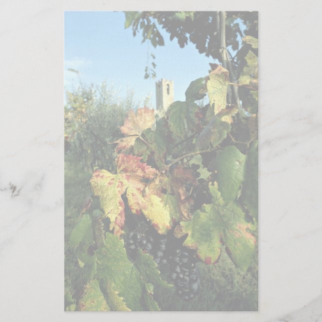 Grapevine, Toskana, Italien Briefpapier (Vorderseite)