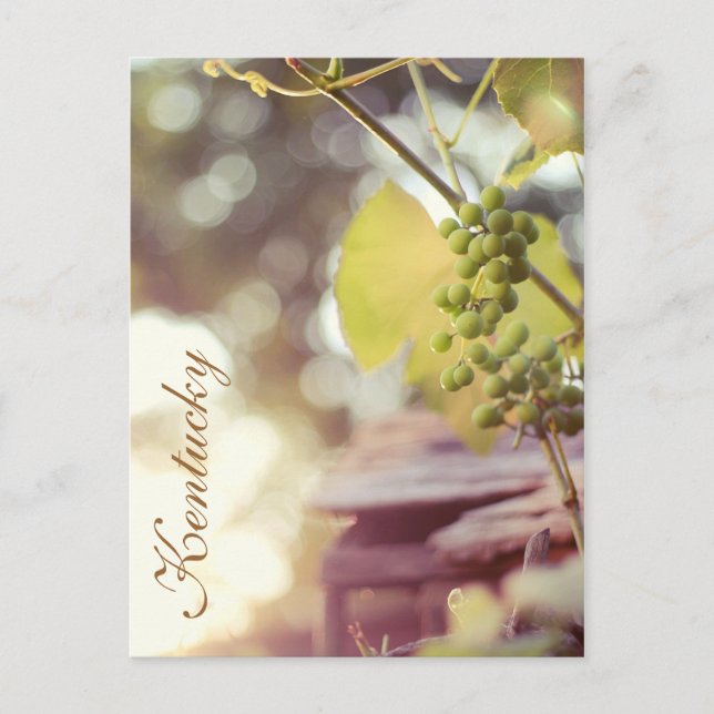 Grapevinen und Birdhouses von JerseyFawn Postkarte (Vorderseite)