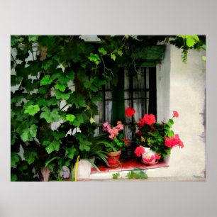 Grapevinen und Geranien rund um ein Fenster Poster