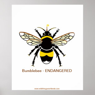 Graphic BUMBLE Bee - gefährdete Tierwelt - Natur Poster