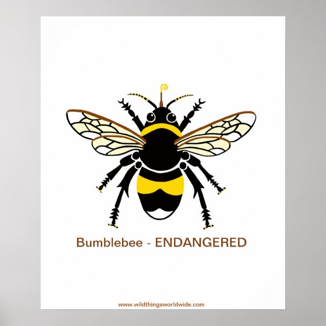 Graphic BUMBLE Bee - gefährdete Tierwelt - Natur Poster (Vorne)