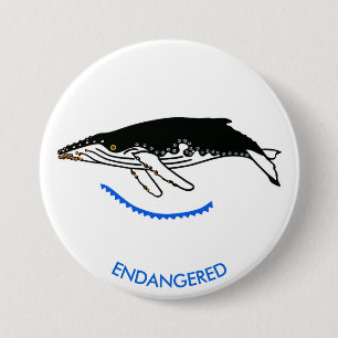 Graphic - Humpback WHALE - Wildlife - Nature- Button